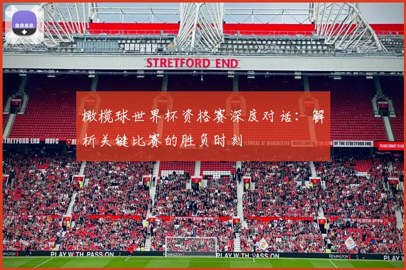 橄榄球世界杯资格赛深度对话：解析关键比赛的胜负时刻