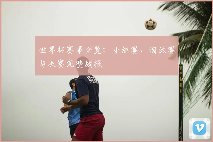 世界杯赛事全览:小组赛、淘汰赛与决赛完整战报