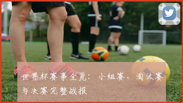 世界杯赛事全览:小组赛、淘汰赛与决赛完整战报