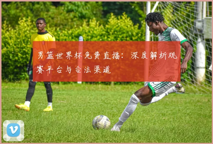 男篮世界杯免费直播：深度解析观赛平台与合法渠道