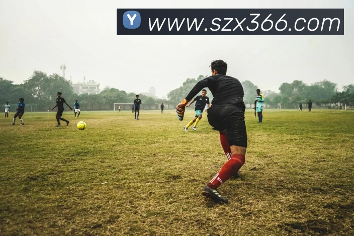 数据防护可视化